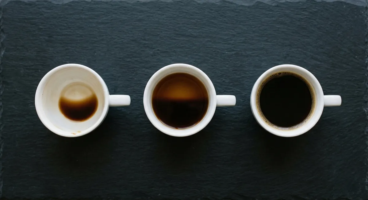 Three coffee cups seen from above with different amounts of coffee remaining, representing different metabolic rates